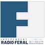 Logo Radio Feral Kalesija