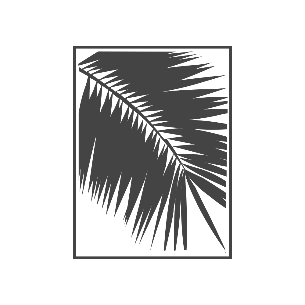 Logo Palmera Blanca radio - Daystream