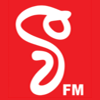Logo V FM