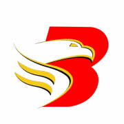 Logo Brigada News FM Tacloban