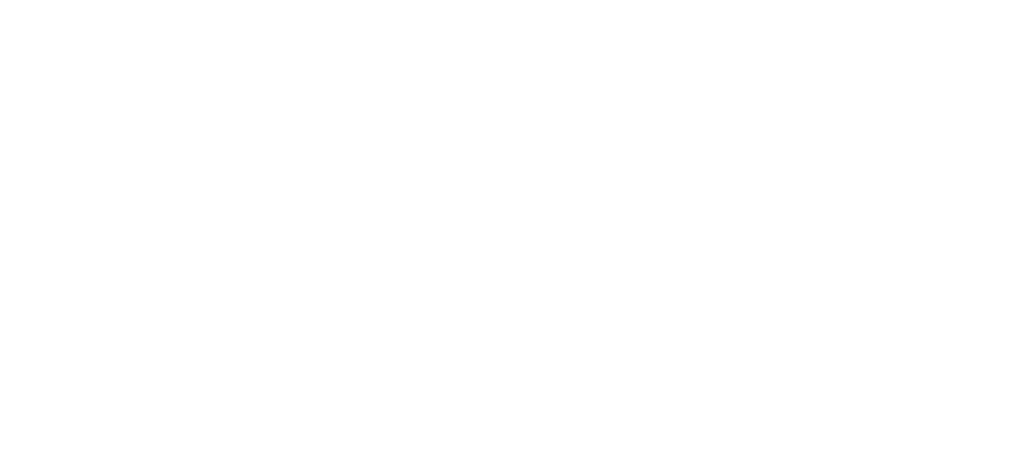 Logo Everything Is New