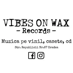 Logo Vibes On Wax Radio