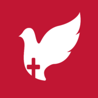 Logo Aripi Spre Cer Predici