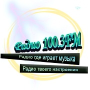 Logo 100.3 FM
