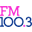 Logo FM100.3 - Better Music Better Work Day