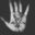 Logo hexx9