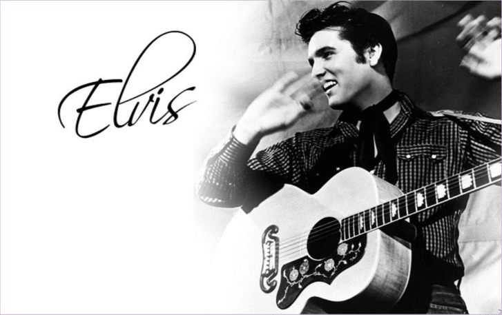 Logo Elvis And Company