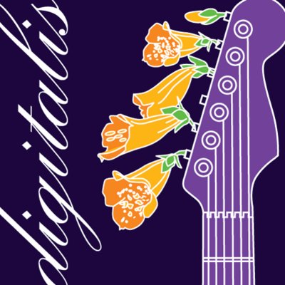 Logo SomaFM Digitalis (256k MP3)