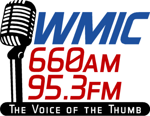 Logo WMIC