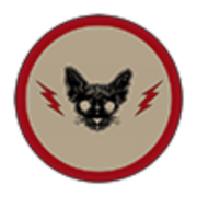Logo Black Cat Radio