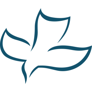Logo CSN International