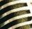 Logo Radio Continental 1600 AM Pando