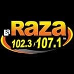 Logo La Raza