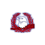 Logo Falcon FM