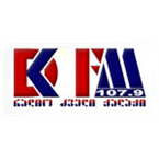 Logo DK FM